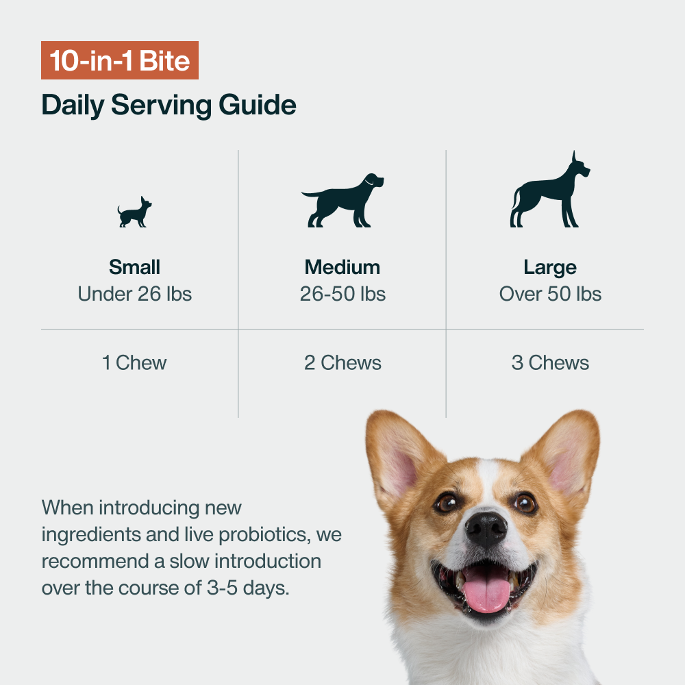 10-in-1 Bite (45 Chews)