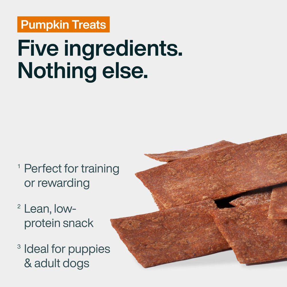 Pumpkin Dog Treats 5 oz