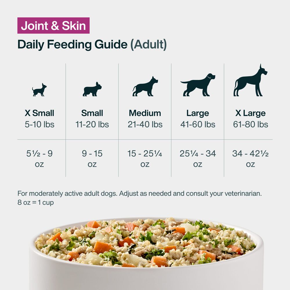 Joint & Skin Support 18 oz (7 Pack) Small Box