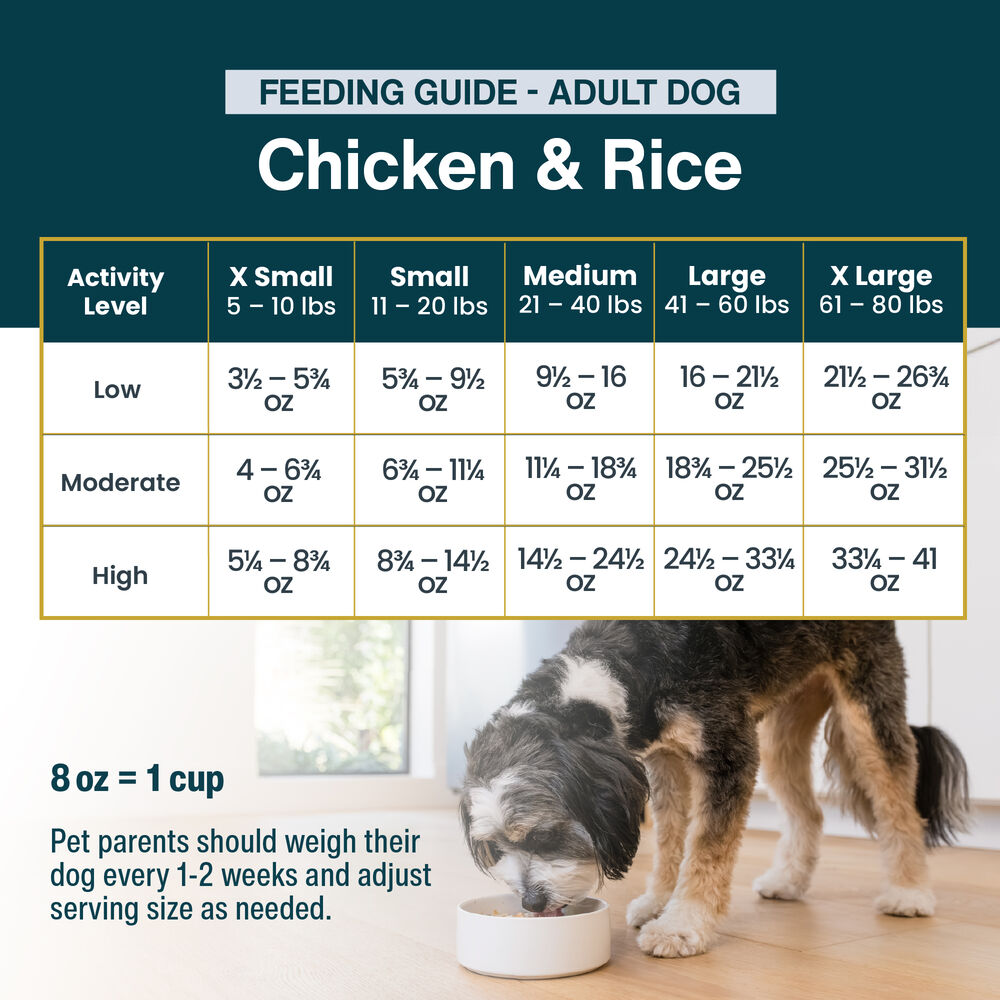 Chicken & Rice 18 oz (7 Pack) Small Box