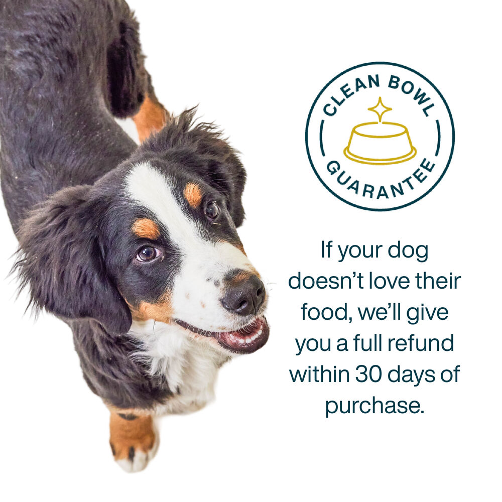 Variety Pack - Sensitive Skin & Stomach 18 oz (7 Pack) Small Box