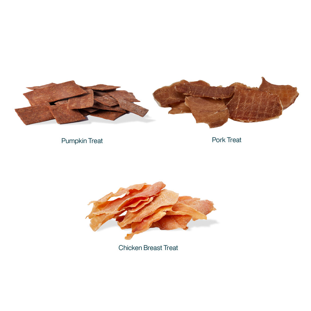 Dog Treat Favorites Bundle