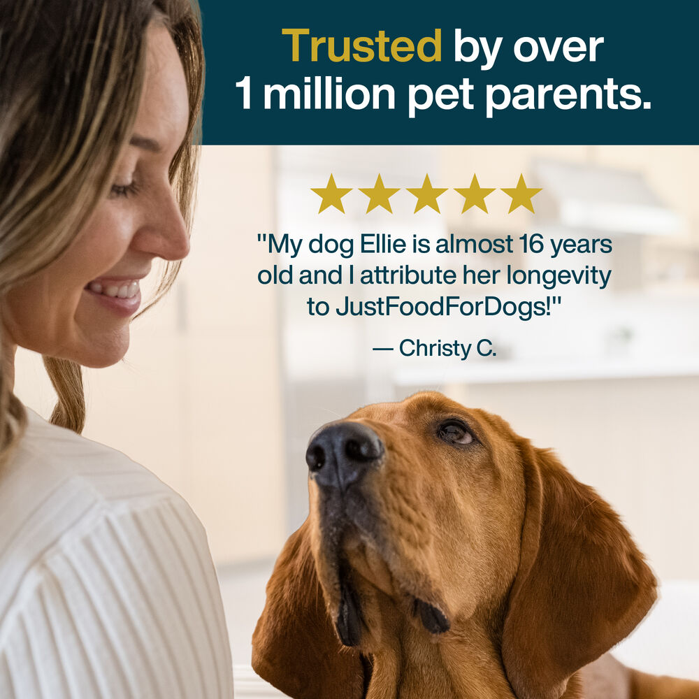 Variety Pack - Sampler Box 18 oz (14 Pack)