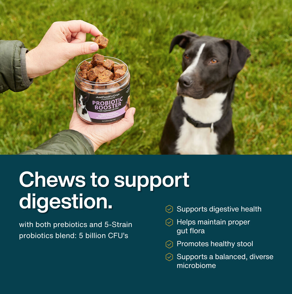 Dog Treats Best Food For Doberman Puppy Oxygen Absorbers Best Dog