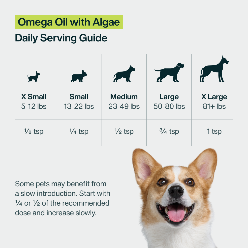 Omega Oil for Dogs with Algae (8 oz)