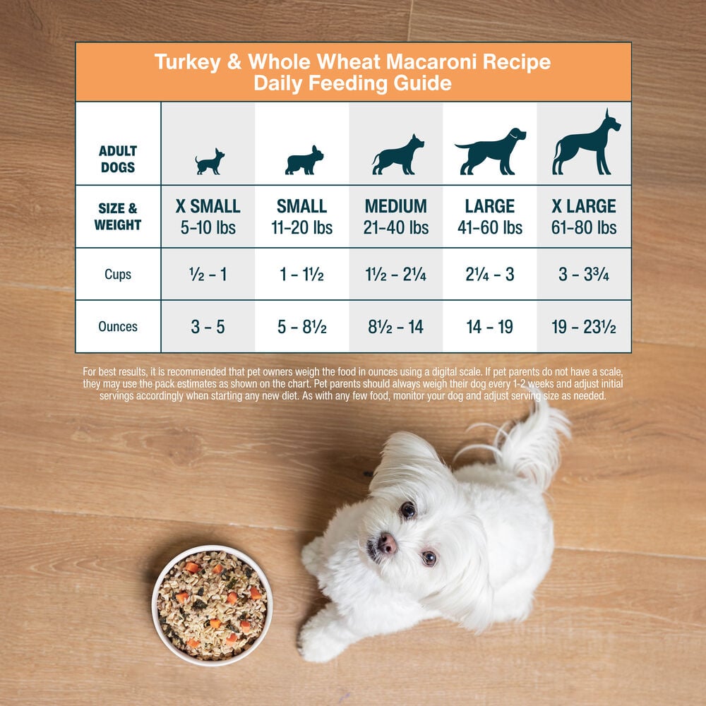 Turkey & Whole Wheat Macaroni Recipe