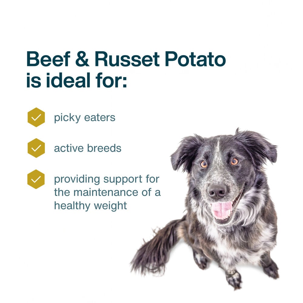 Beef & Russet Potato Recipe