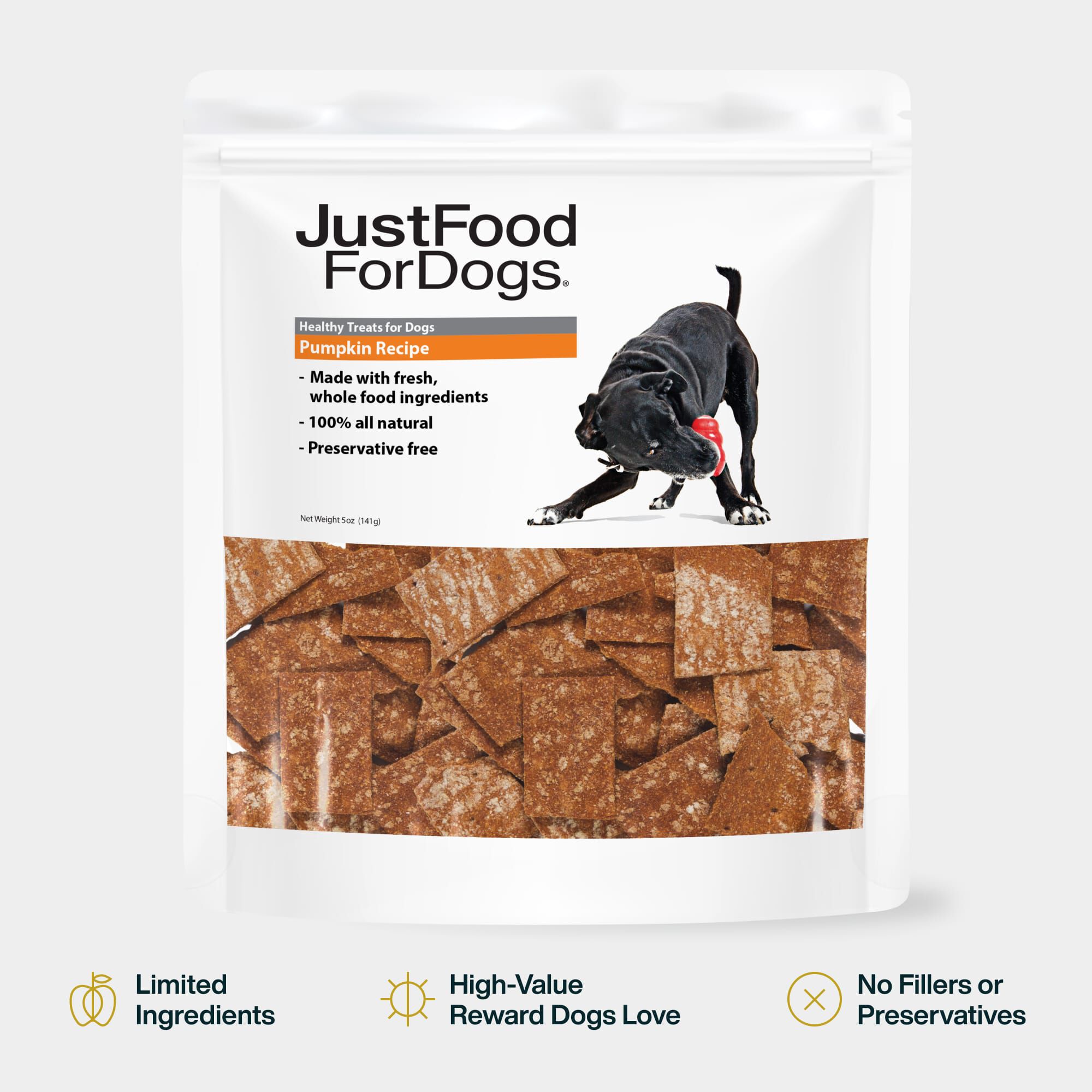 Pumpkin Treats for Dogs | JustFoodForDogs