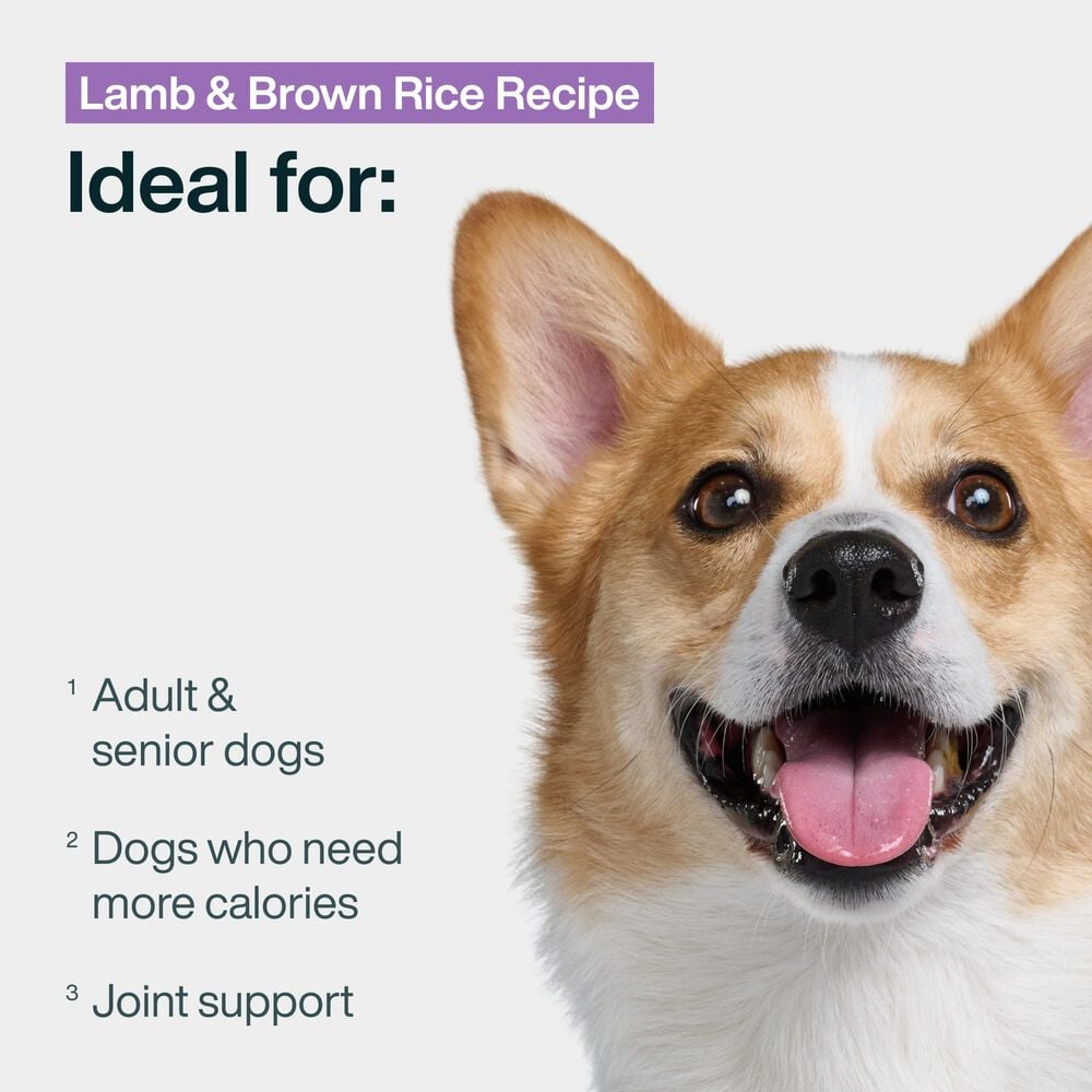 Lamb & Brown Rice 18 oz (7 Pack) Small Box