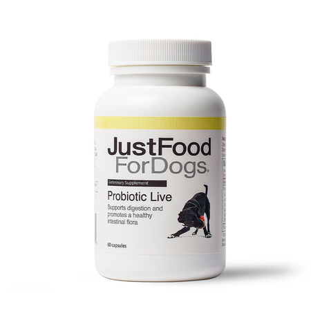 probiotic supplements dogs justfoodfordogs dog vitamins ct puppies