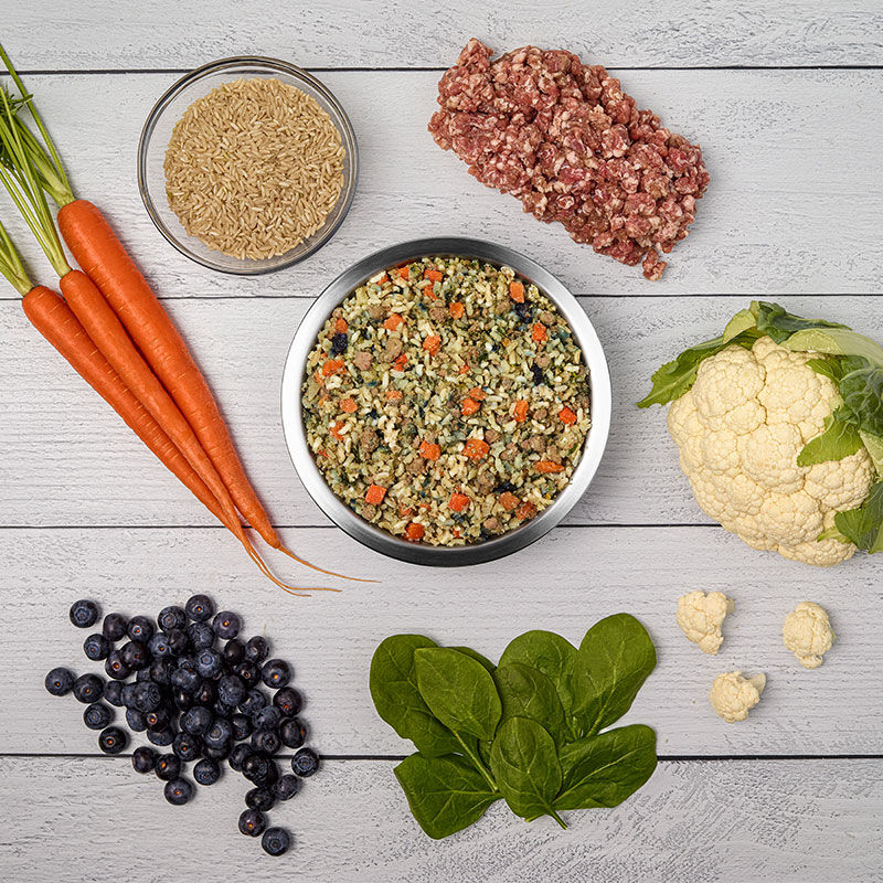 just food for dogs renal