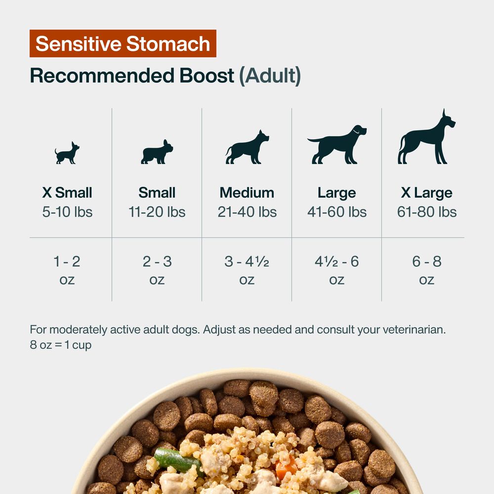 JustFresh Boost Meal Topper for Sensitive Stomachs (8 oz 8-Pack)