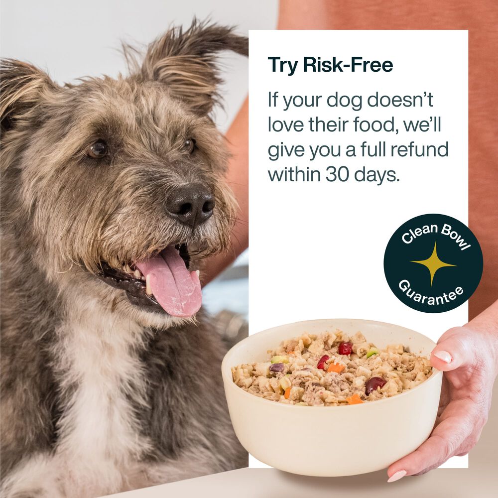 Variety Pack - Puppy 18 oz (7 Pack)