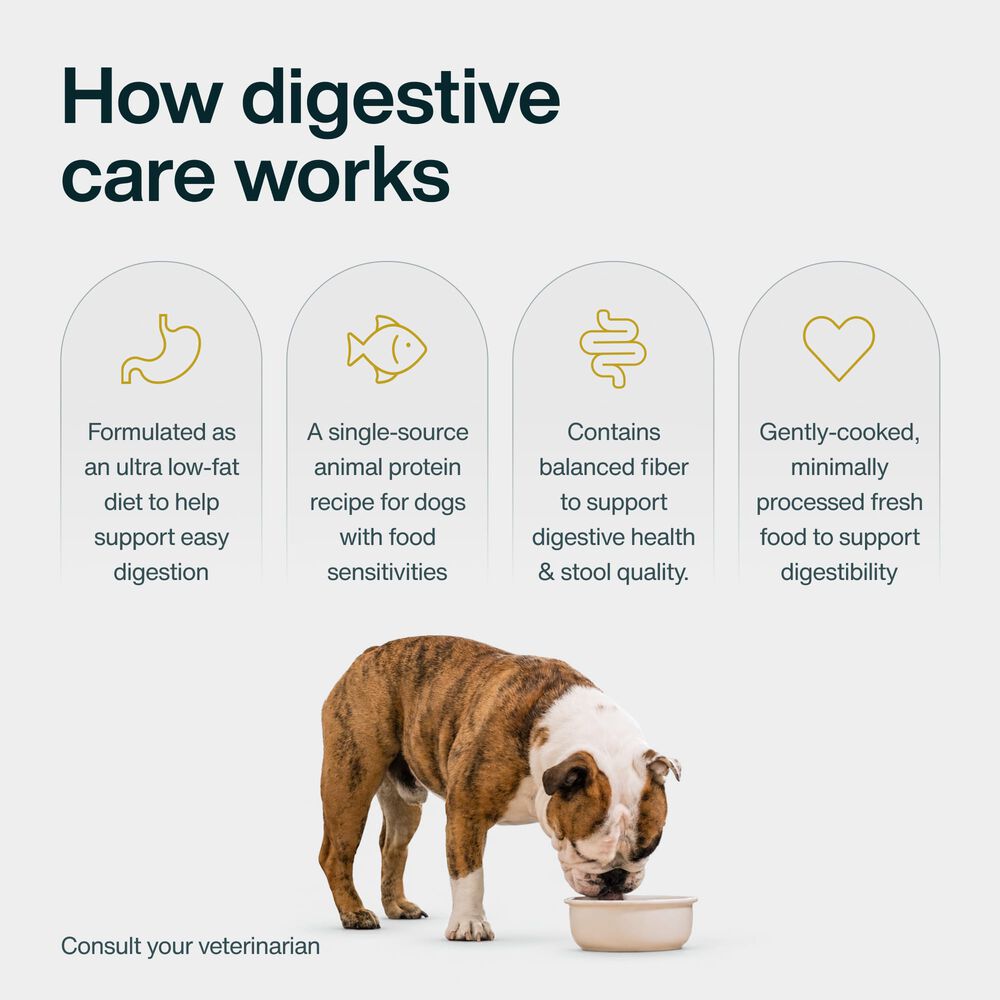 Digestive Care 18 oz (7 Pack) Small Box
