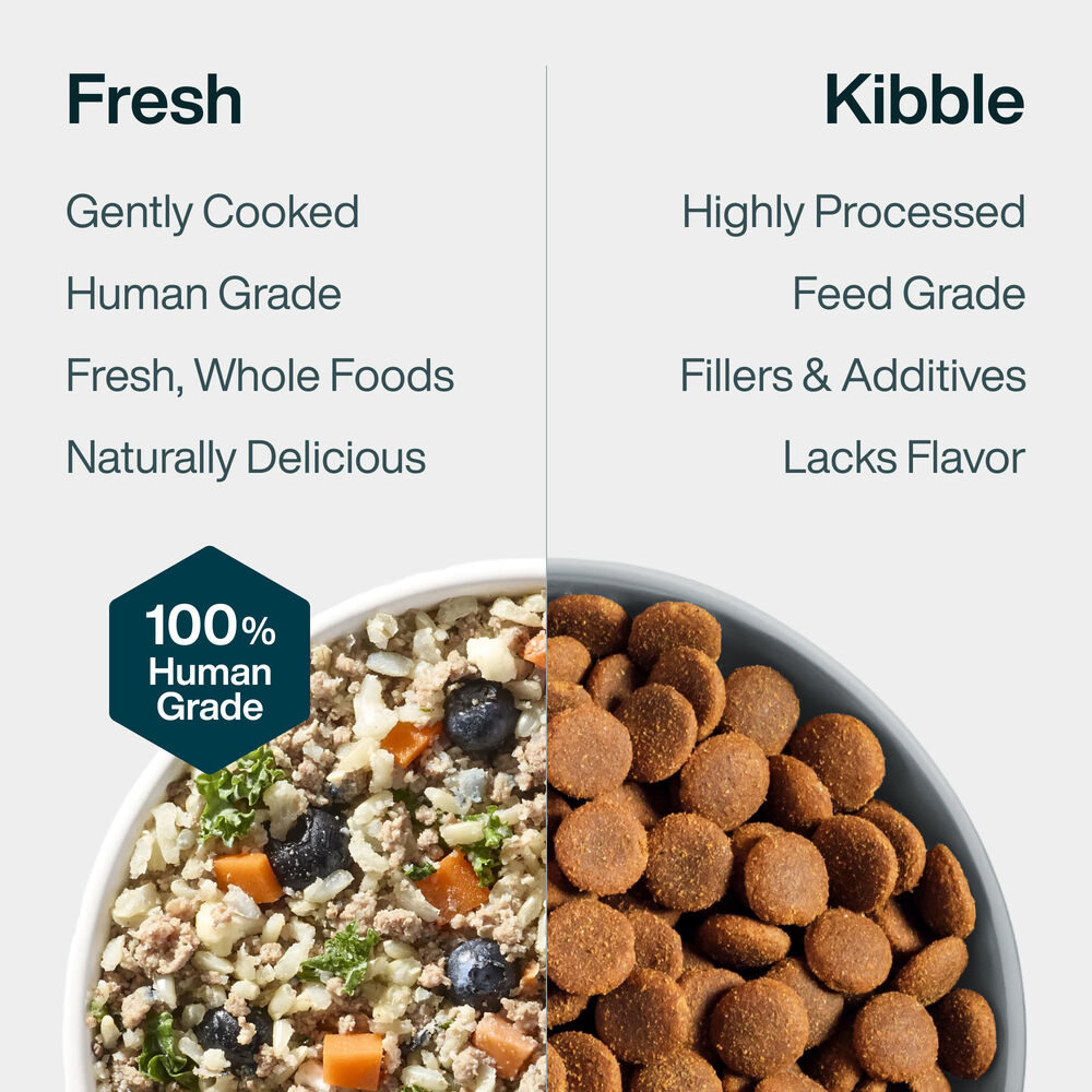 Pantry Fresh - Lamb & Brown Rice 12.5 oz Case (6 Pack)