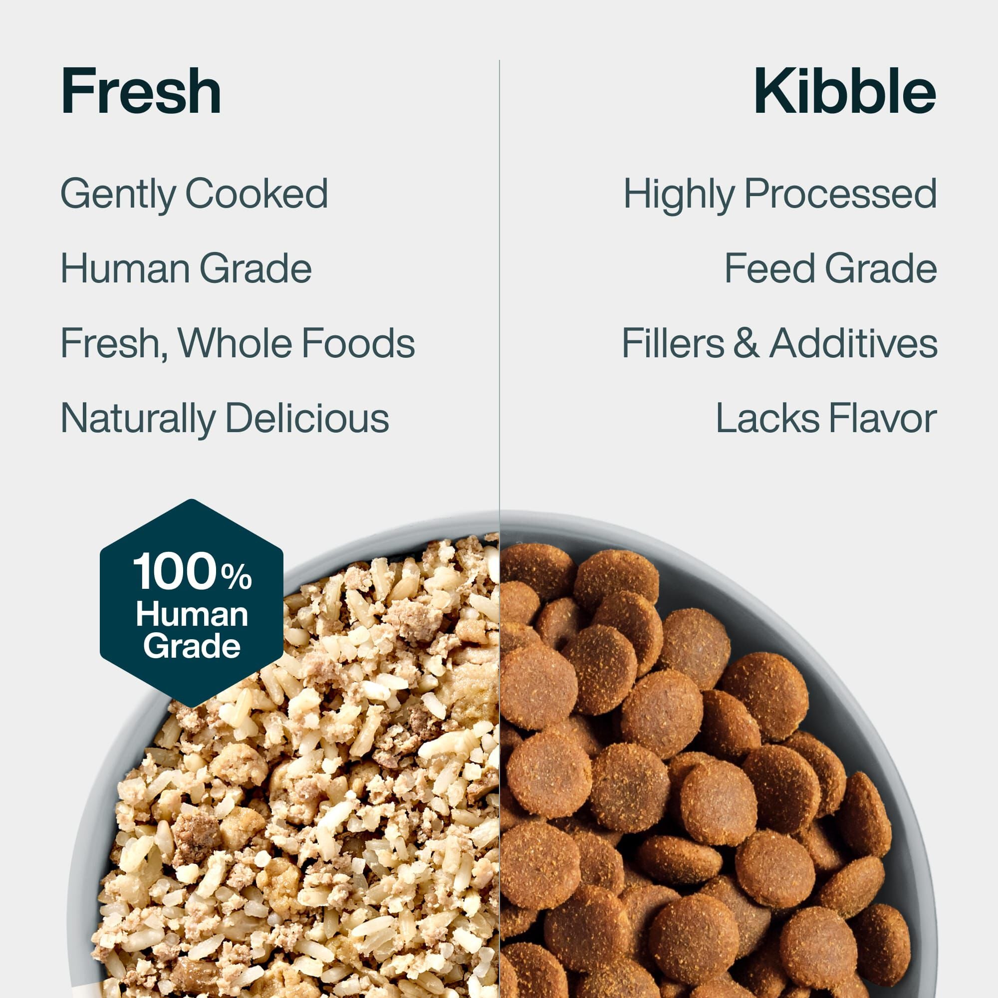 Fresh Dog Food for Sensitive Stomachs | JustFoodForDogs