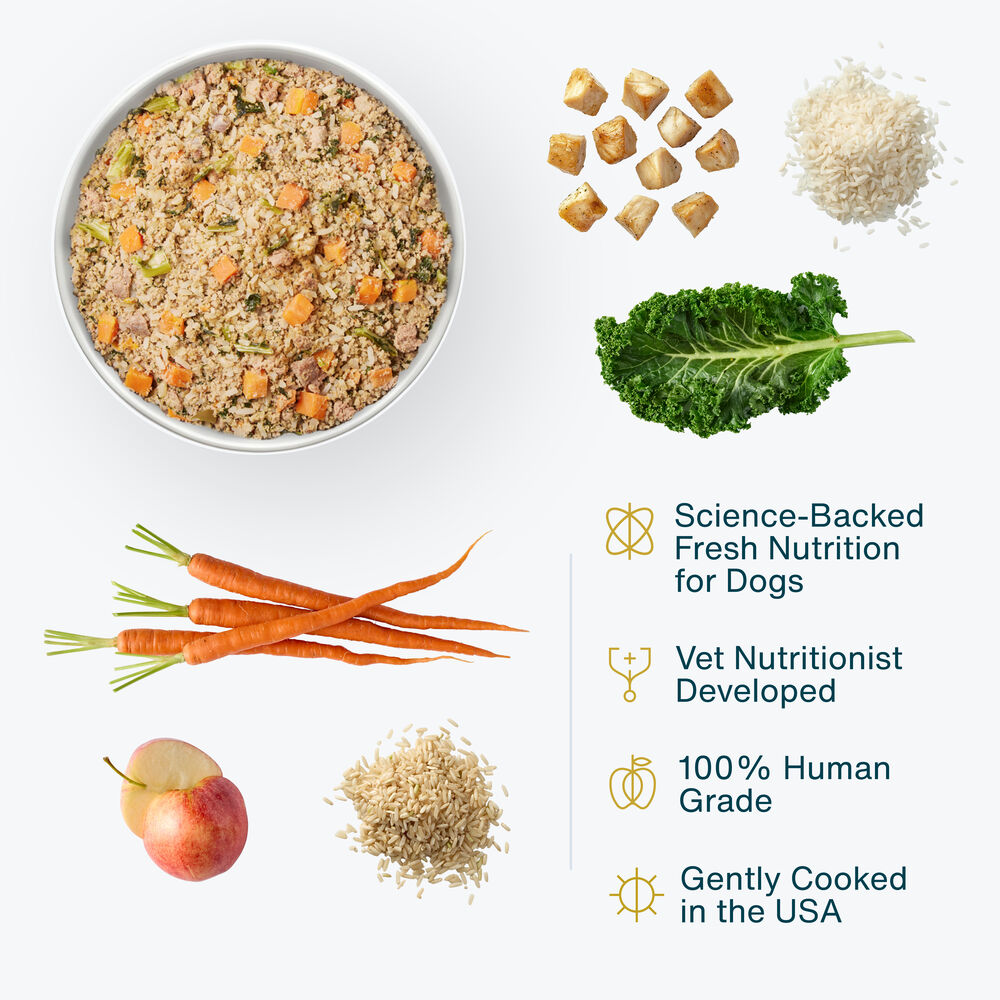 Chicken & Rice 18 oz (7 Pack) Small Box
