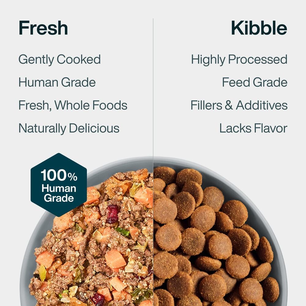 Venison & Squash 18 oz (7 Pack) Small Box