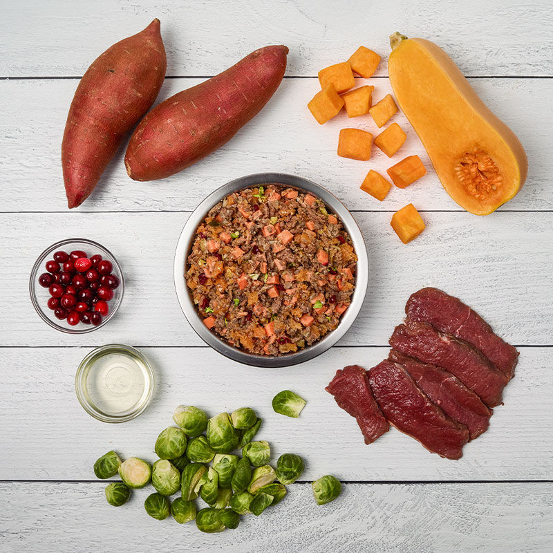 Venison & Squash Recipe 18oz | JustFoodForDogs