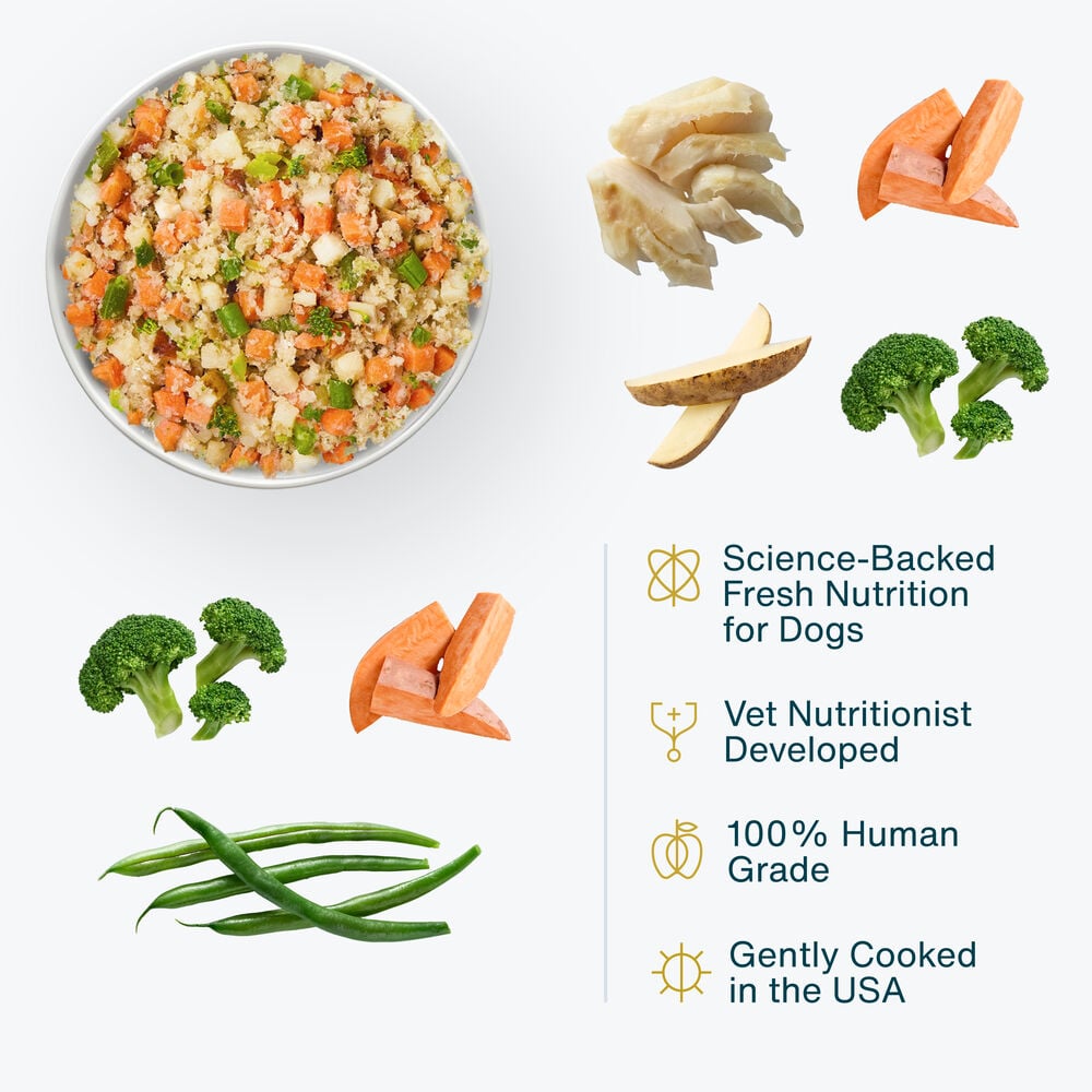 Fish & Sweet Potato 18 oz (7 Pack) Small Box