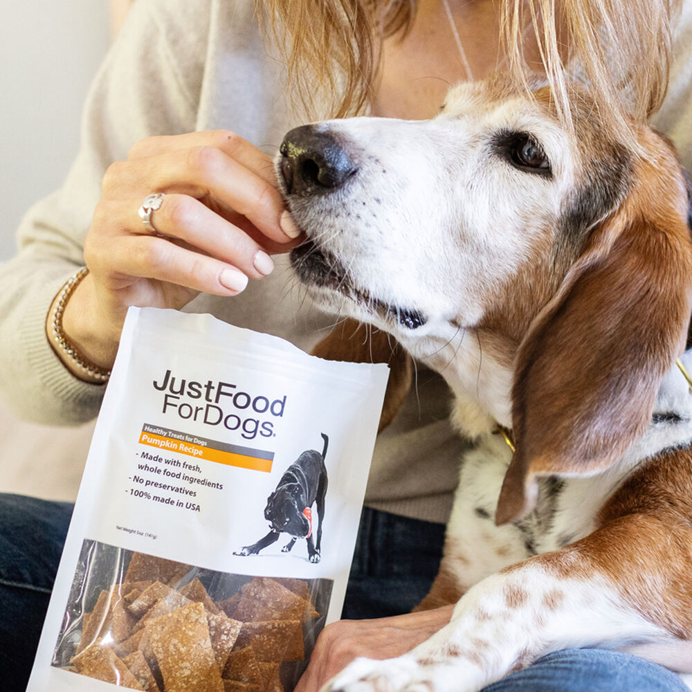 Recipes (vet Approved Portland Pet Food Pumpkin Dog Treats Grain