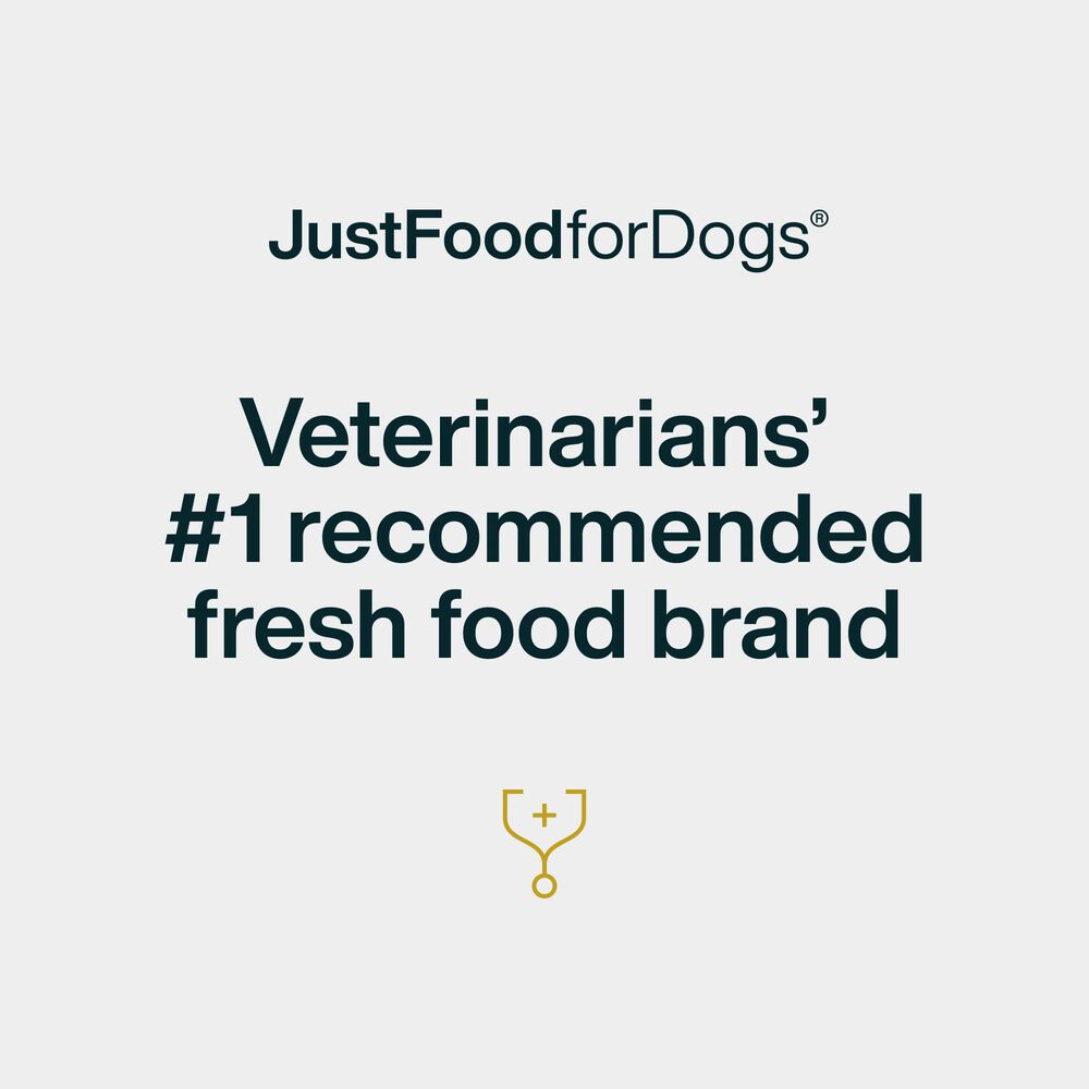 Venison Dog Treats 5 oz