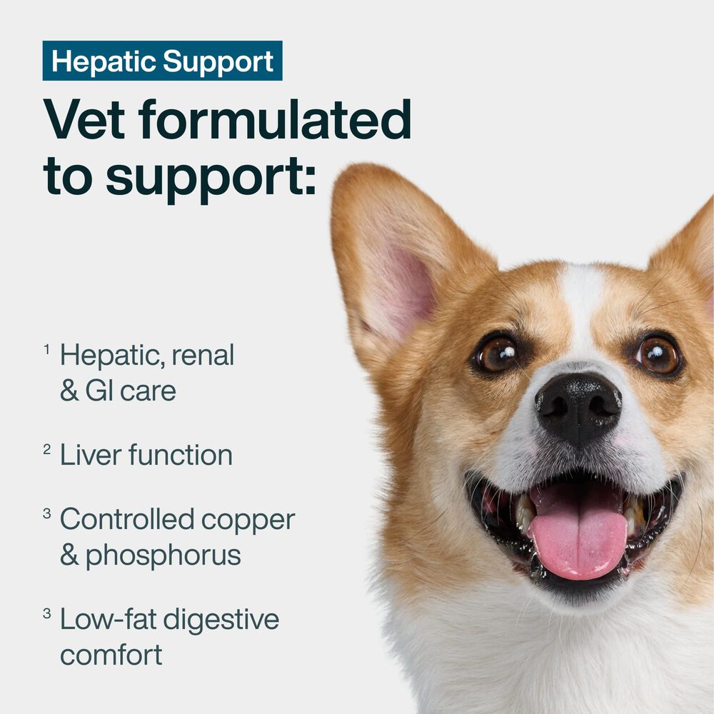 Hepatic Support Low Fat 18 oz (7 Pack) Small Box