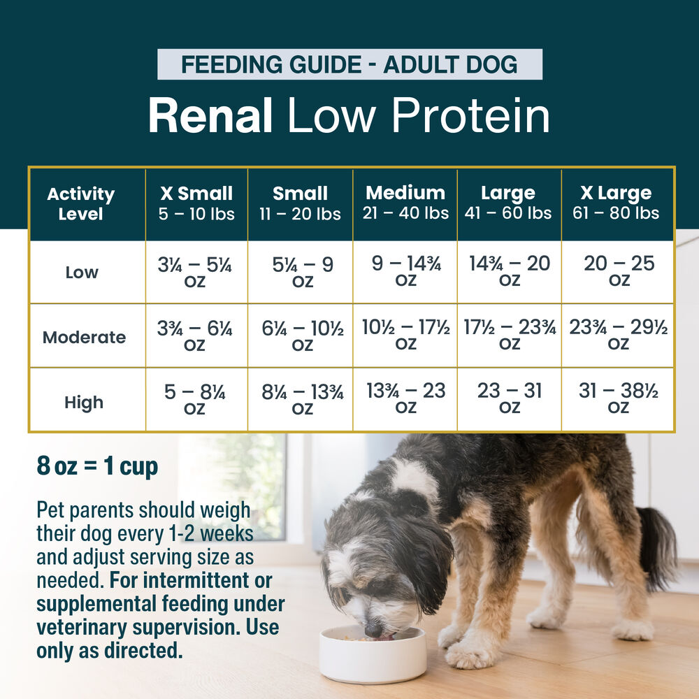 Renal Support Low Protein 18 oz (7 Pack) Small Box