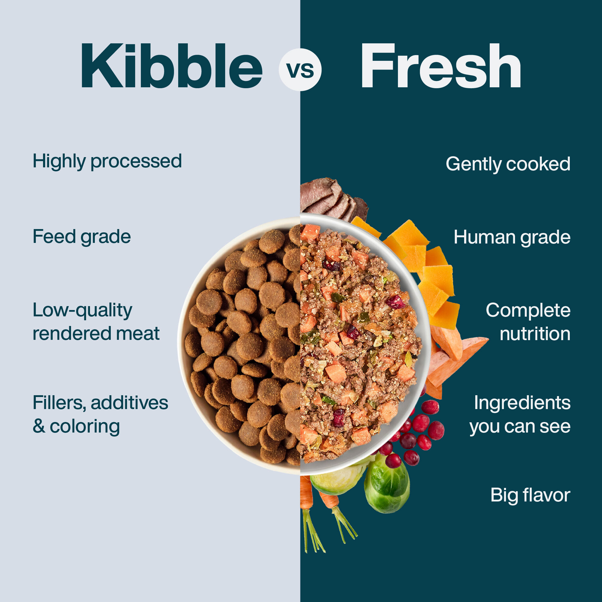 Real Meat Venison Dog Food Recipe | JustFoodForDogs