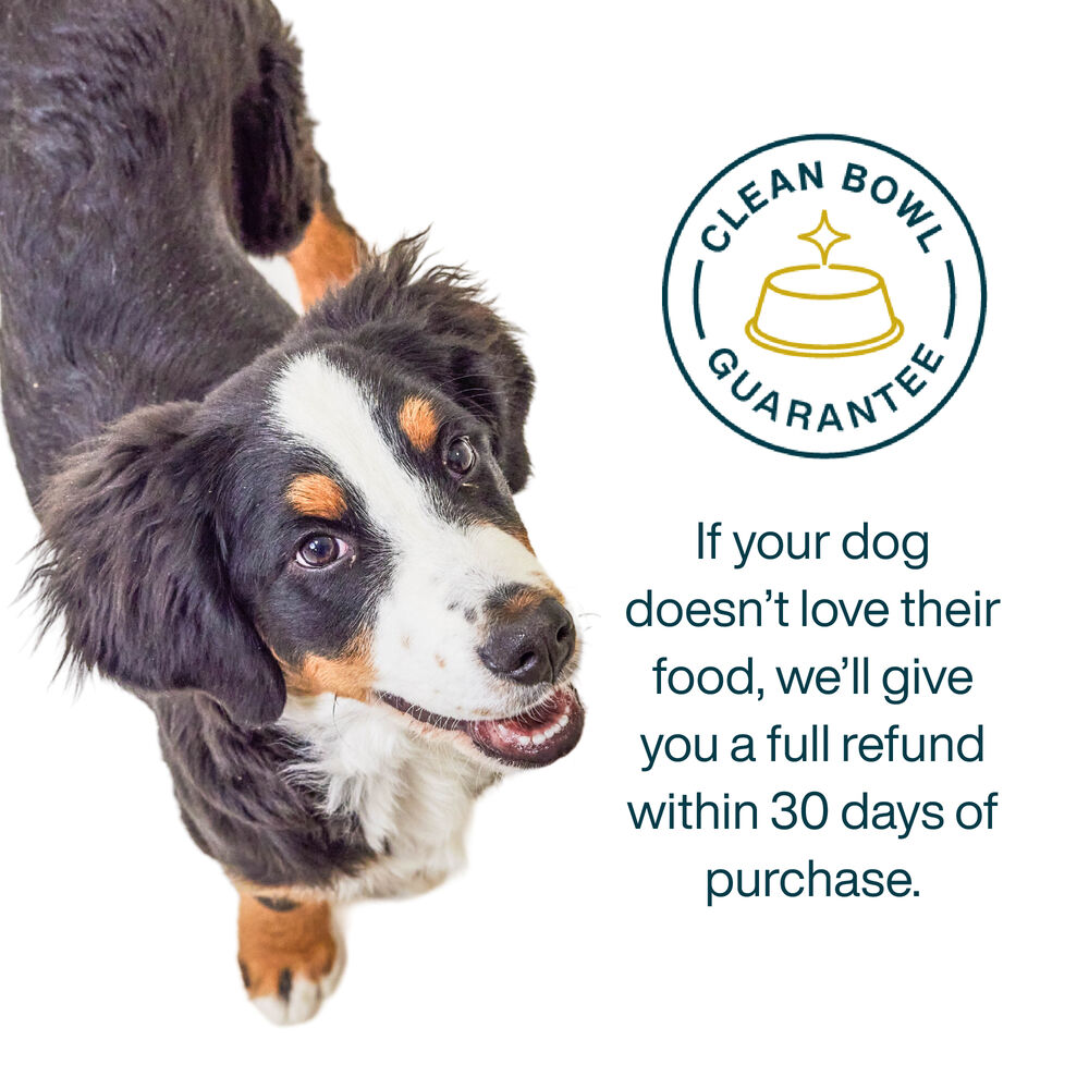 Turkey & Whole Wheat Macaroni 72 oz (7 Pack) Large Box