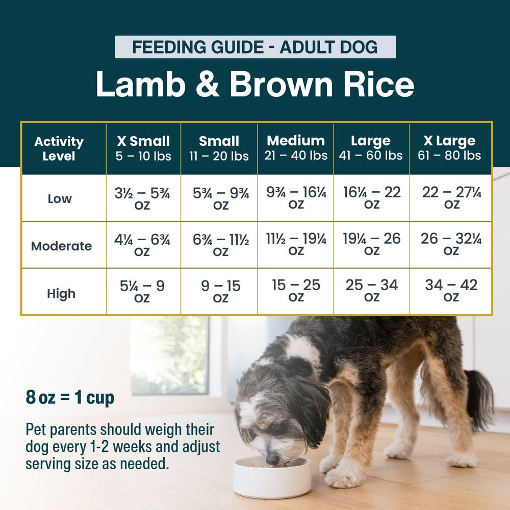 Lamb & Brown Rice Recipe 18 oz (7 Pack) Small Box