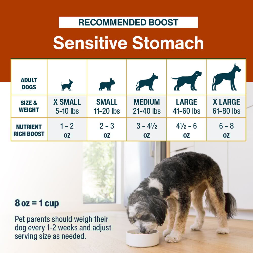 JustFresh Boost Meal Topper for Sensitive Stomachs (8 oz 8-Pack)