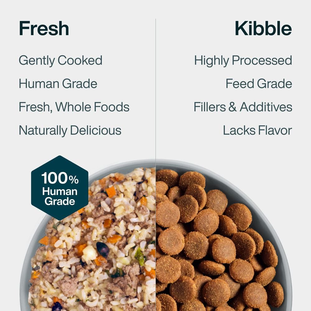 Lamb & Brown Rice 18 oz (7 Pack) Small Box