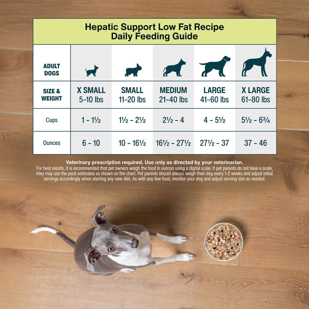 Hepatic Support Low Fat 18 oz (7 Pack) Small Box