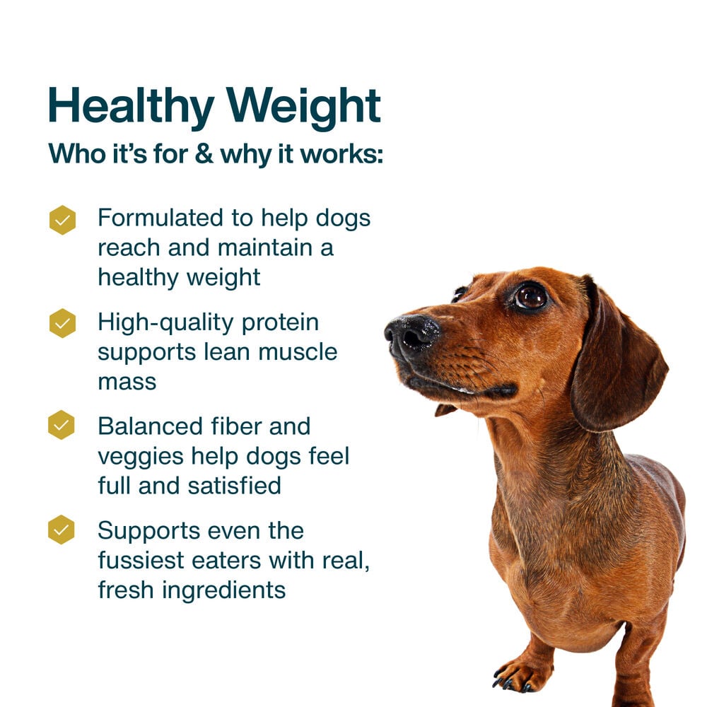 Healthy Weight 18 oz (7 Pack) Small Box