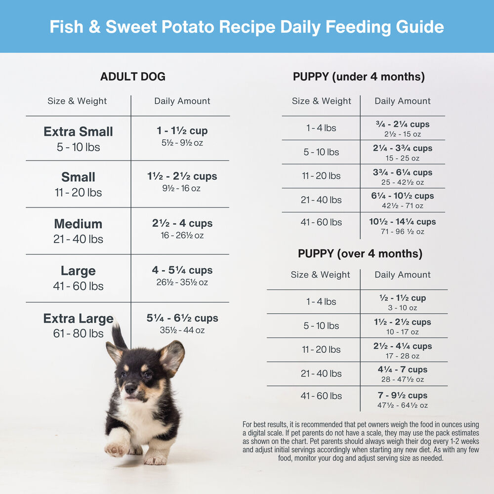 DIY Nutrient Kit - Fish