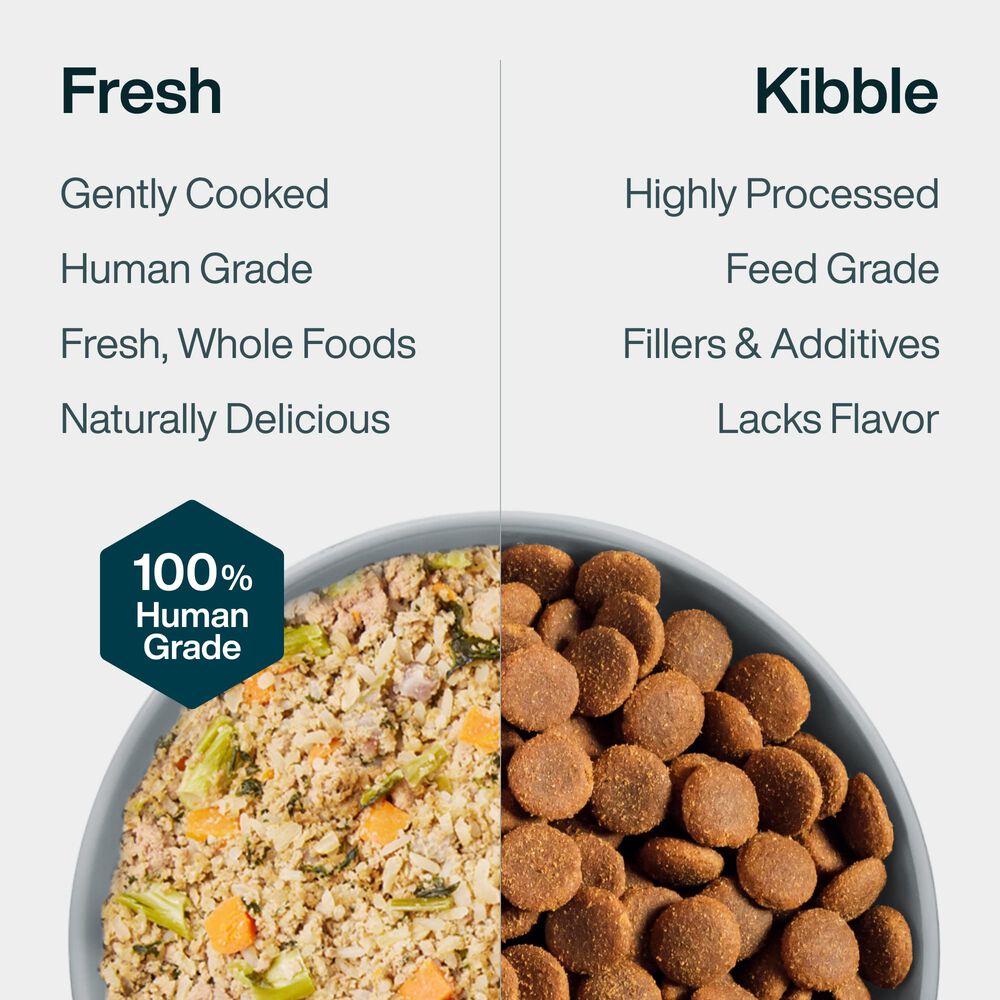 Pantry Fresh - Chicken & Rice 12.5 oz Case (6 Pack)