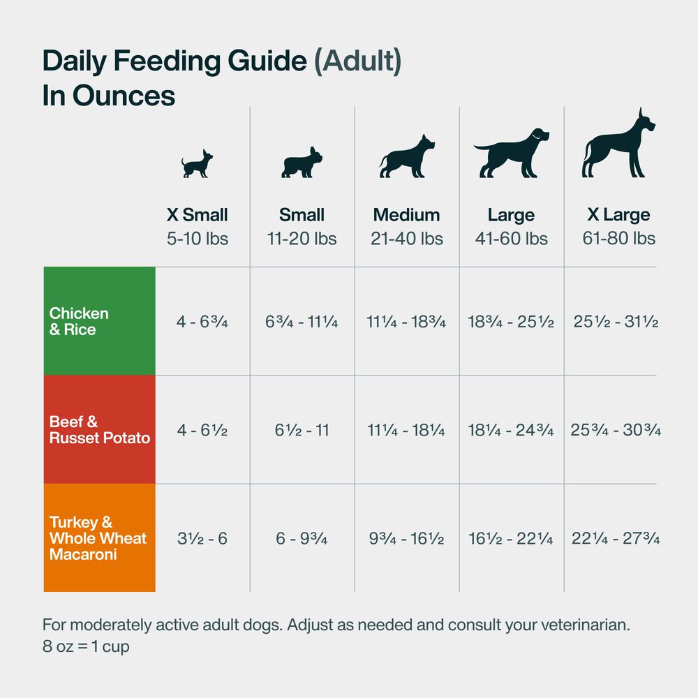 Variety Pack - Best Sellers 18 oz (21 Pack) Medium Box