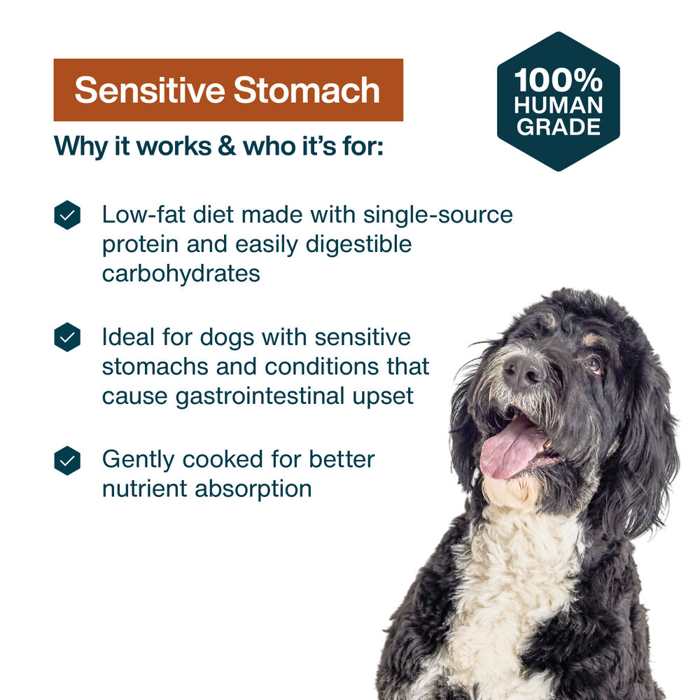 Sensitive Stomach 18 oz (7 Pack) Small Box