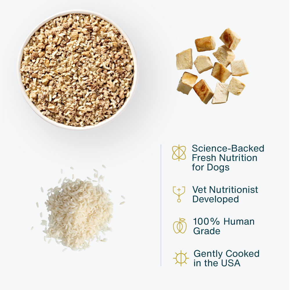 Sensitive Stomach 18 oz (7 Pack) Small Box