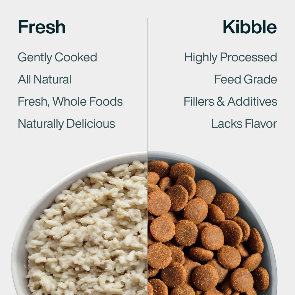 Pantry Fresh Healthy Digestion Bundle
