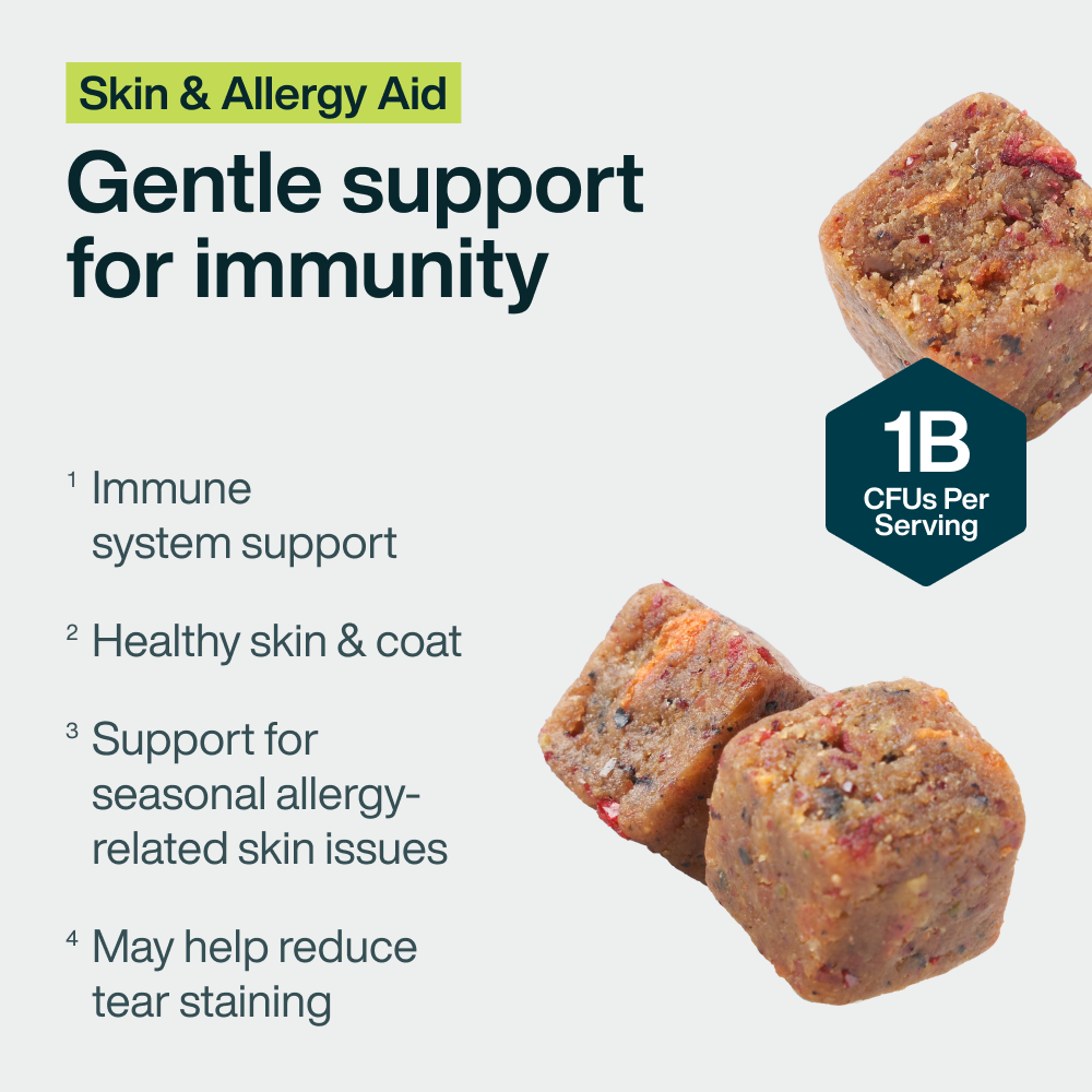 Skin & Allergy Aid (45 Chews)