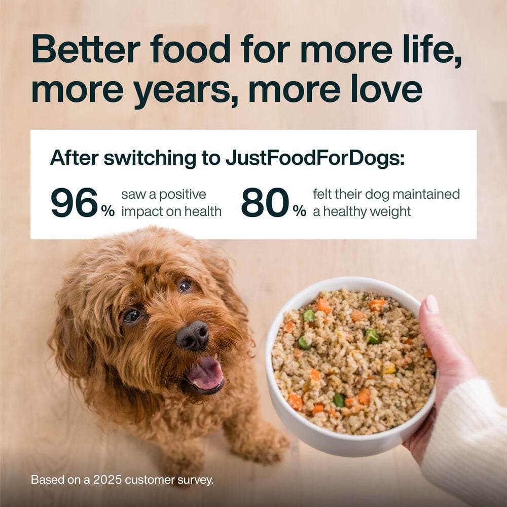 Pantry Fresh - Variety Pack (8  Pack)