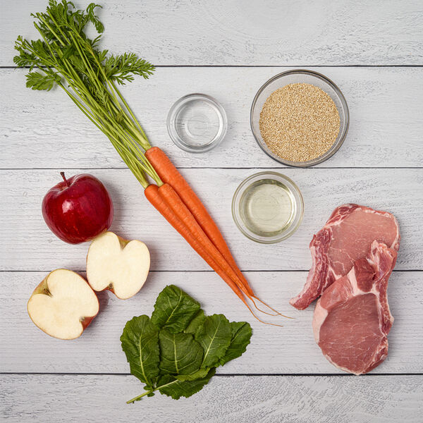 Dog Food to Support Itchy & Dry Skin JustFoodForDogs