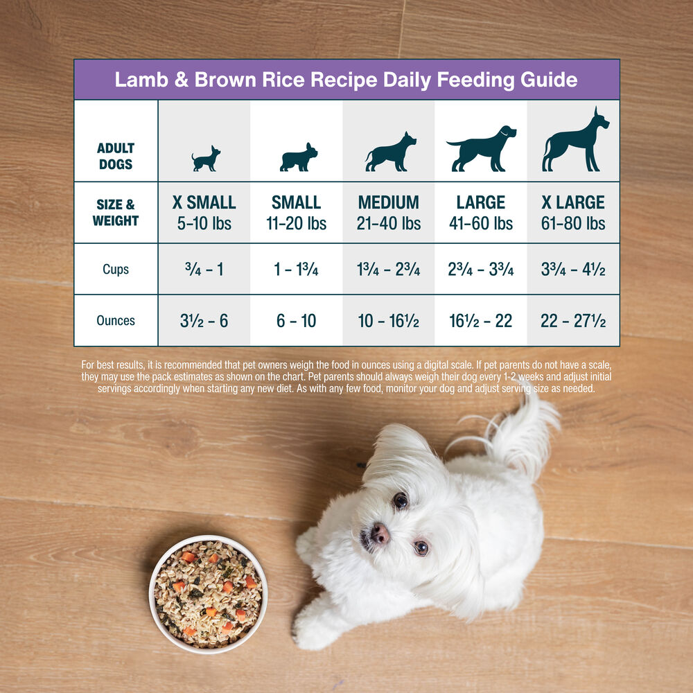 Lamb & Brown Rice Recipe 18 oz (7 Pack) Small Box