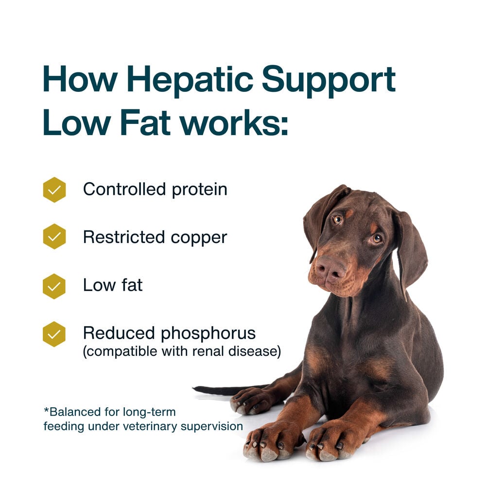 Hepatic Support Low Fat 18 oz (7 Pack) Small Box
