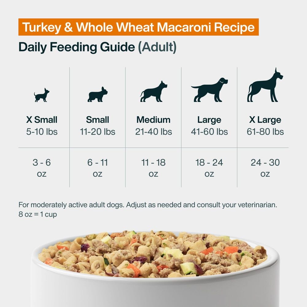 Pantry Fresh - Turkey & Whole Wheat Macaroni 12.5 oz Case (6 Pack)