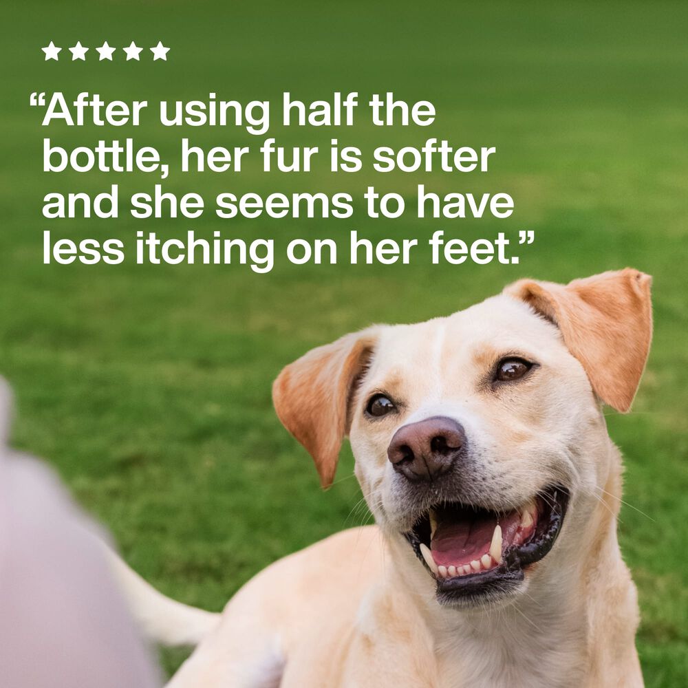 Omega Oil for Dogs with Algae (8 oz)