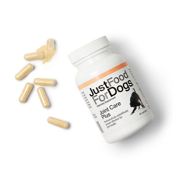 Joint Supplements for Dogs JustFoodForDogs