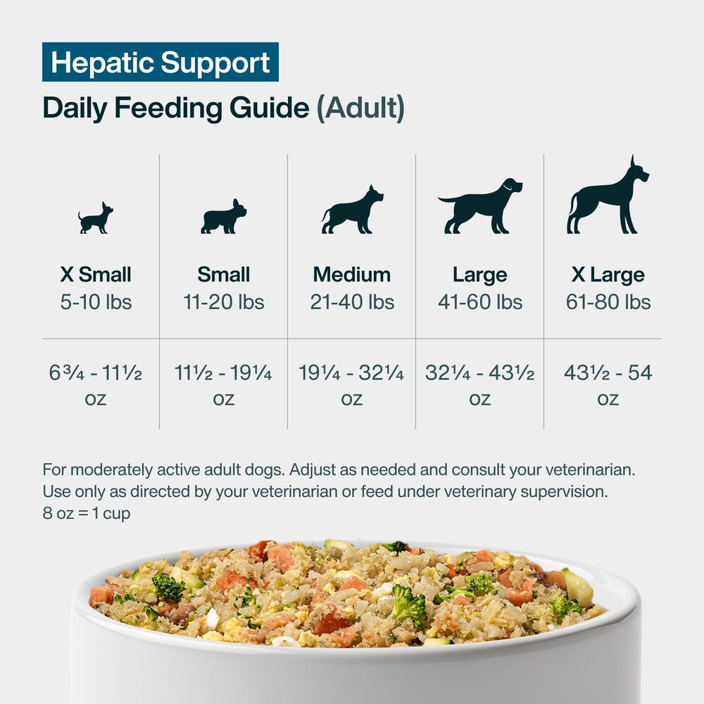 Hepatic Support Low Fat 18 oz (7 Pack) Small Box